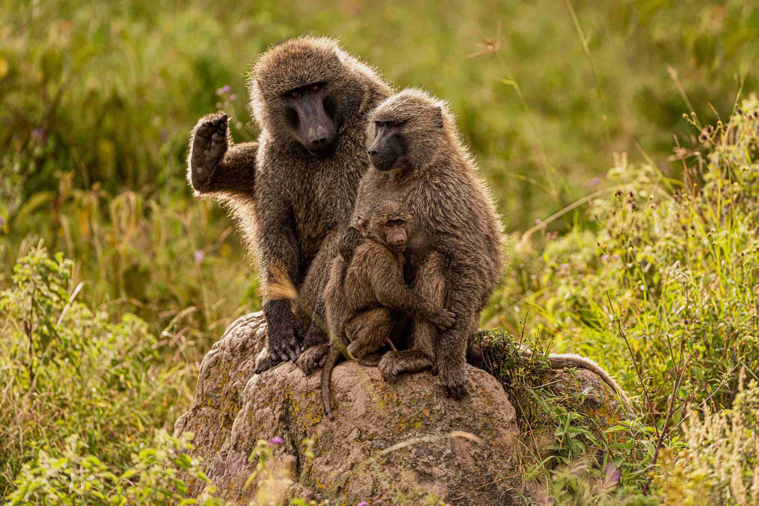 UmBoNo Private Game Lodge