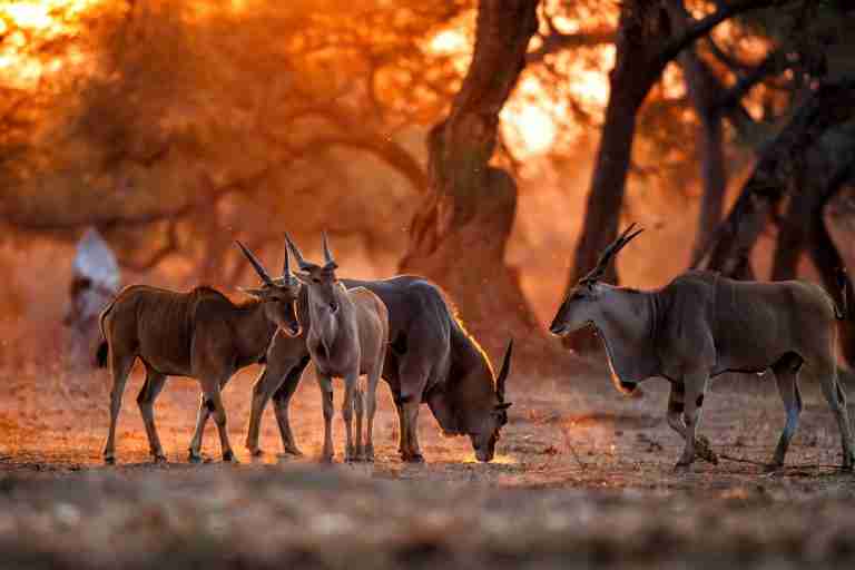 UmBoNo Private Game Lodge