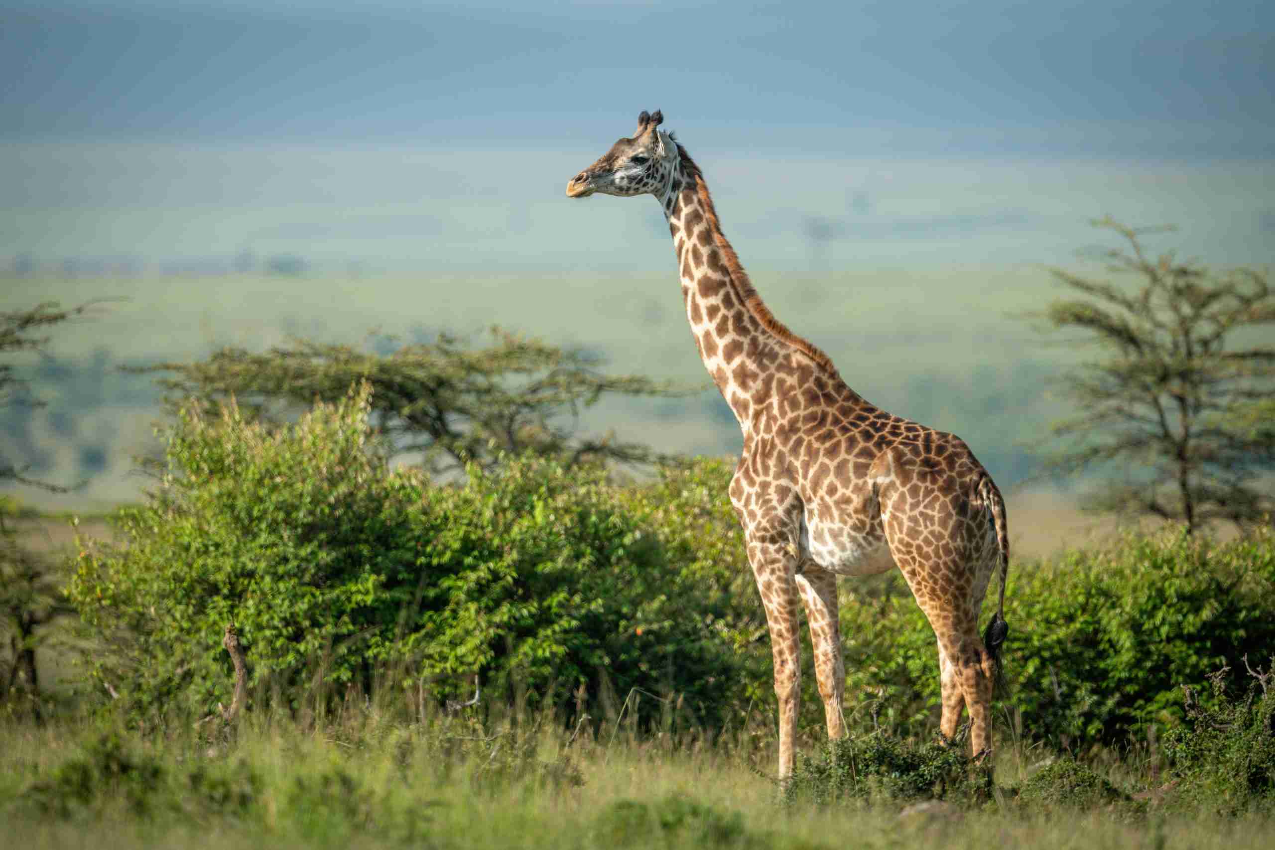 UmBoNo Private Game Lodge