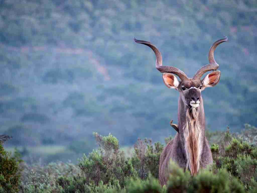 UmBoNo Private Game Lodge