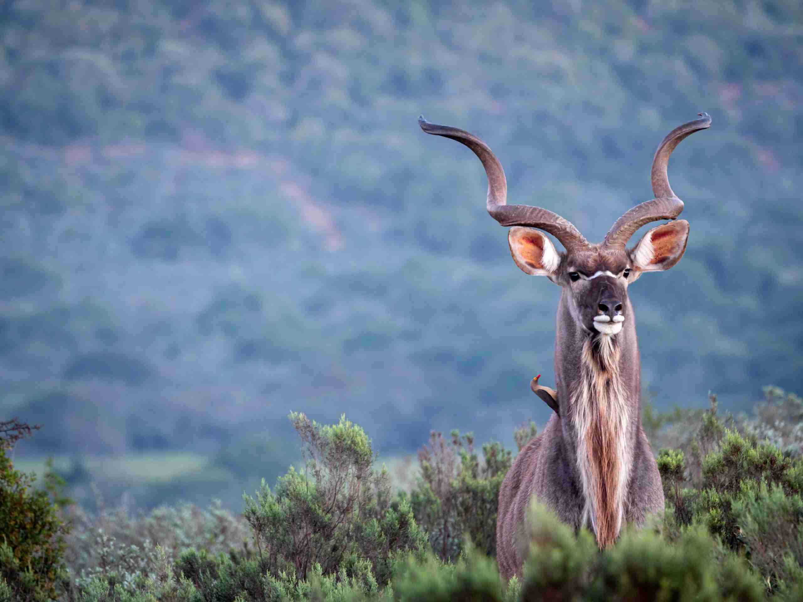 UmBoNo Private Game Lodge