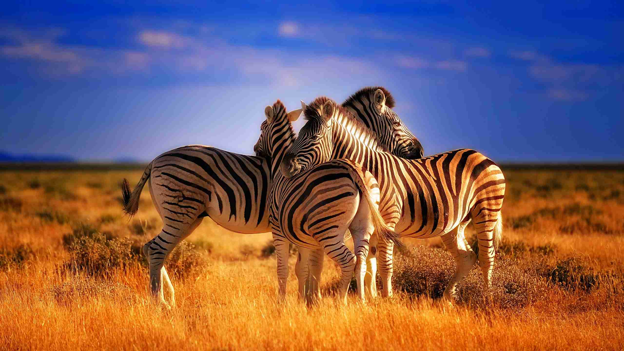 UmBoNo Private Game Lodge