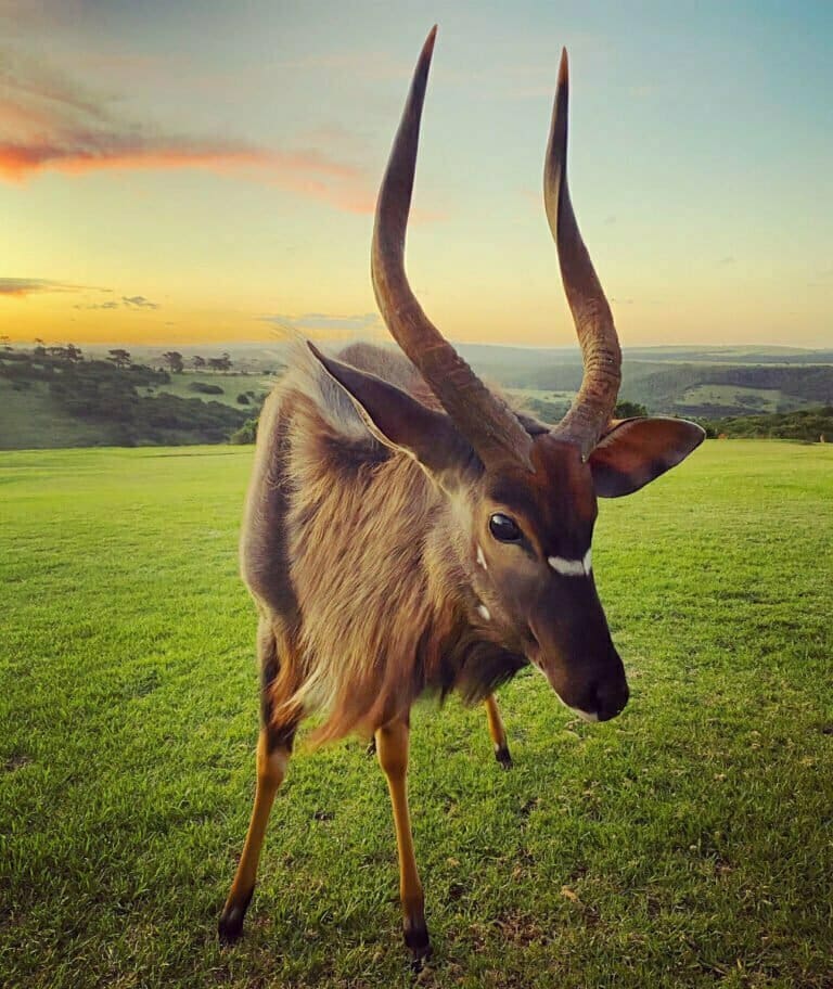 UmBoNo Private Game Lodge
