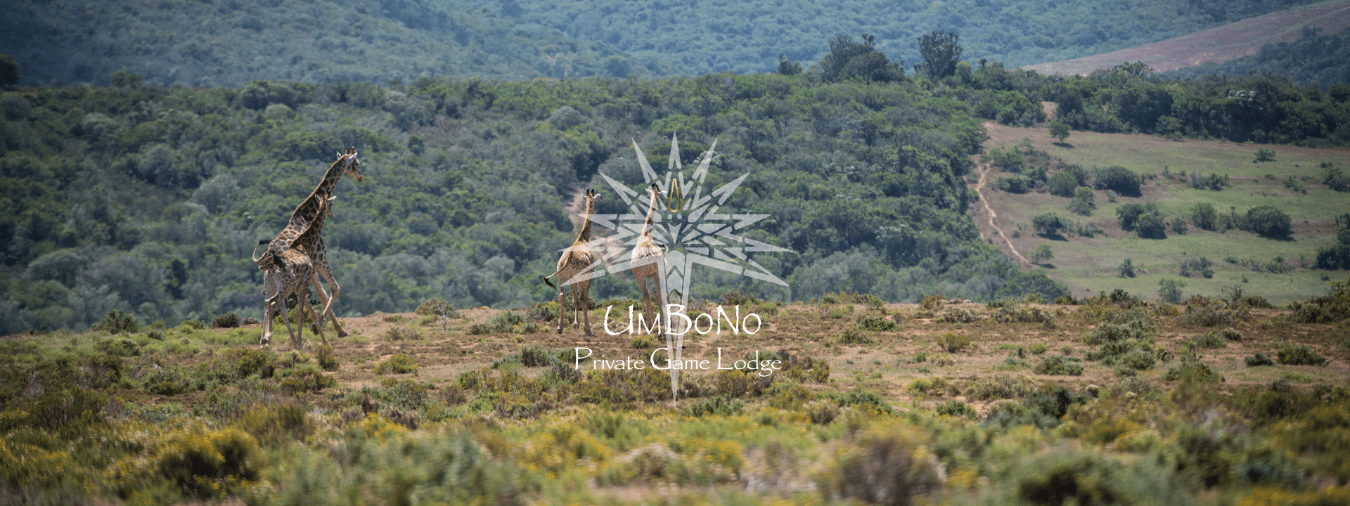 UmBoNo Private Game Lodge
